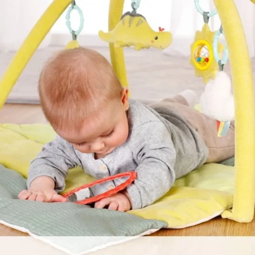Fehn 3-D Activiteiten Speelkleed Happy Dino