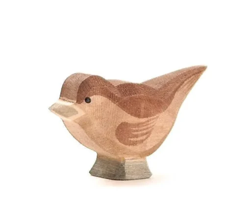 Vogel Mus 16808